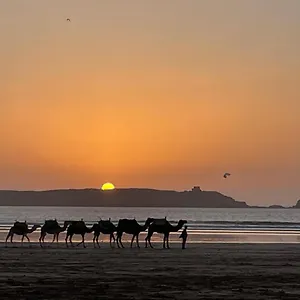Homestay La Symbiose, Essaouira
